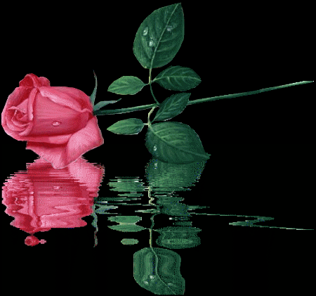 [تصویر:  Rose-in-moving-water-for-a-poem-Gif.gif]